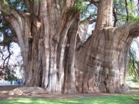 /album/nejvetsi-veci-na-svete/jhk-viuiuiibguii-jpg/